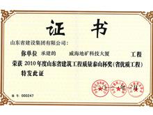 2010年度泰山杯奖（省优质工程）